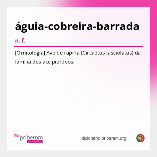 Significado de águia-cobreira-barrada