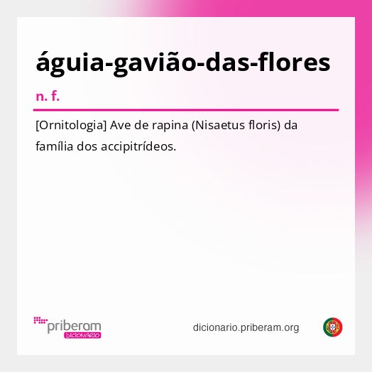 Significado de águia-gavião-das-flores