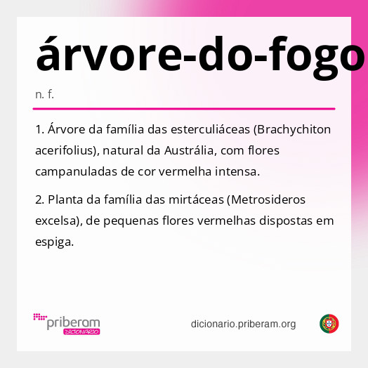 Significado de árvore-do-fogo