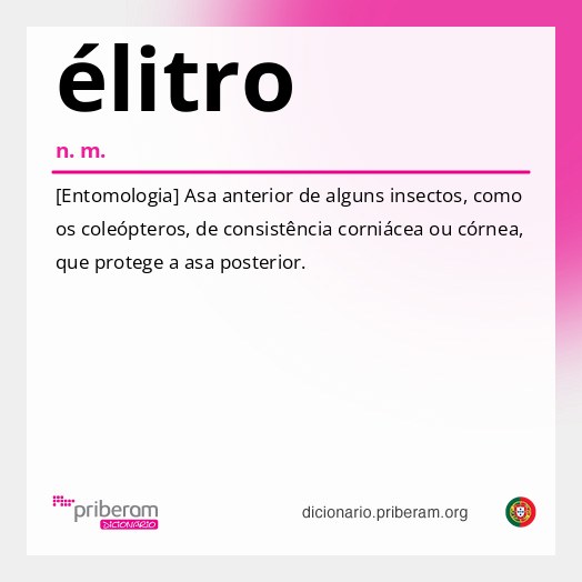 Significado de élitro