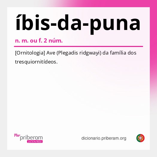 Significado de íbis-da-puna