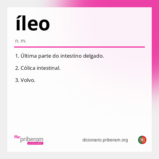 Significado de íleo