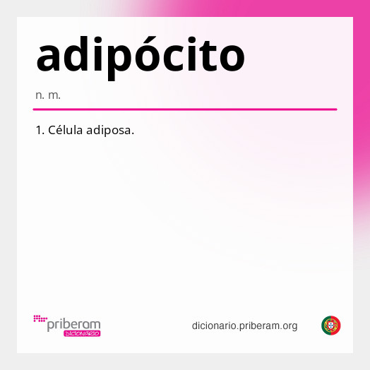 Significado de adipócito