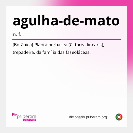 Significado de agulha-de-mato