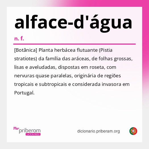 Significado de alface-d'água