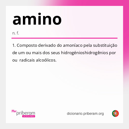 Significado de amino