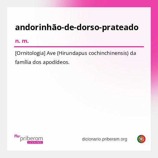 Significado de andorinhão-de-dorso-prateado
