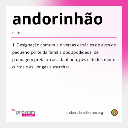 Significado de andorinhão