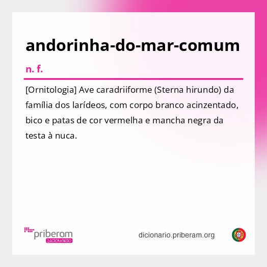 Significado de andorinha-do-mar-comum