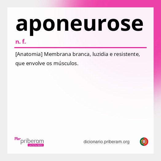 Significado de aponeurose