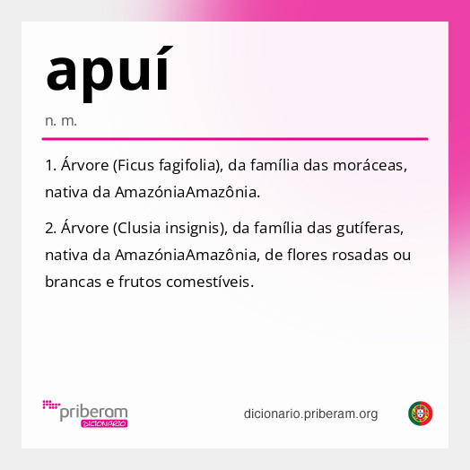 Significado de apuí