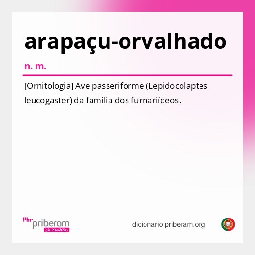 Significado de arapaçu-orvalhado