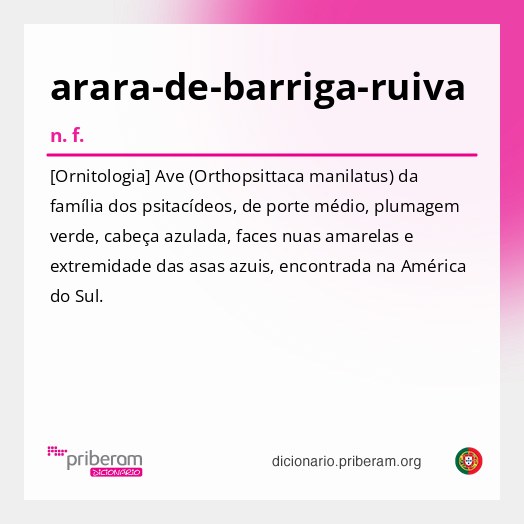 Significado de arara-de-barriga-ruiva