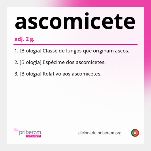 Significado de ascomicete