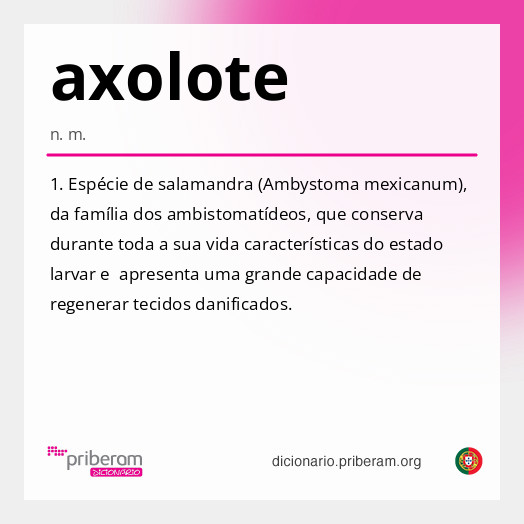 Significado de axolote