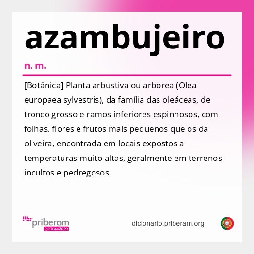 Significado de azambujeiro