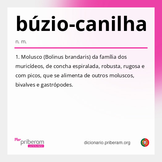 Significado de búzio-canilha