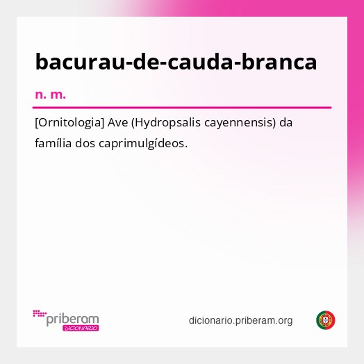 Significado de bacurau-de-cauda-branca
