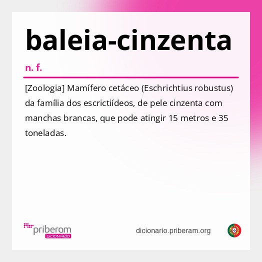 Significado de baleia-cinzenta