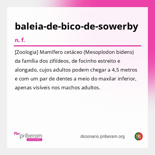 Significado de baleia-de-bico-de-sowerby