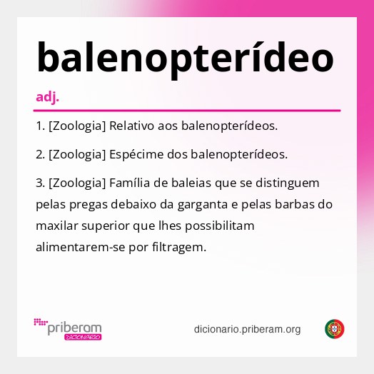Significado de balenopterídeo