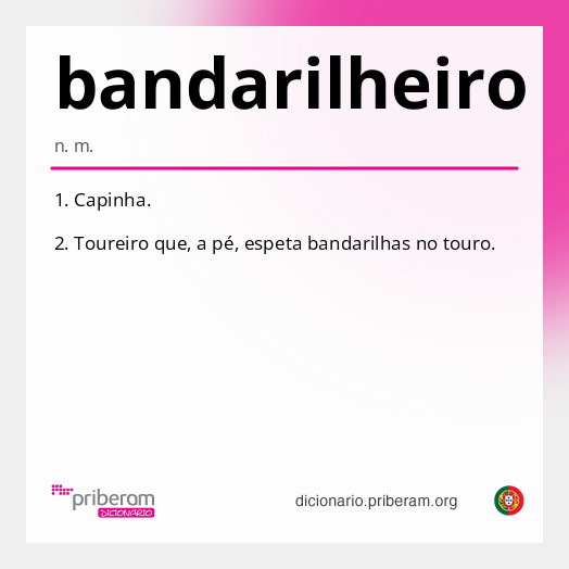 Significado de bandarilheiro