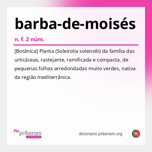 Significado de barba-de-moisés