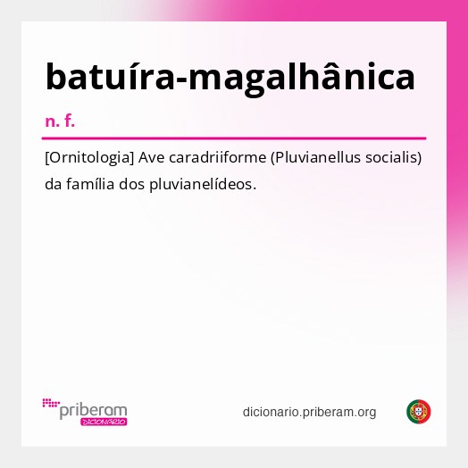 Significado de batuíra-magalhânica