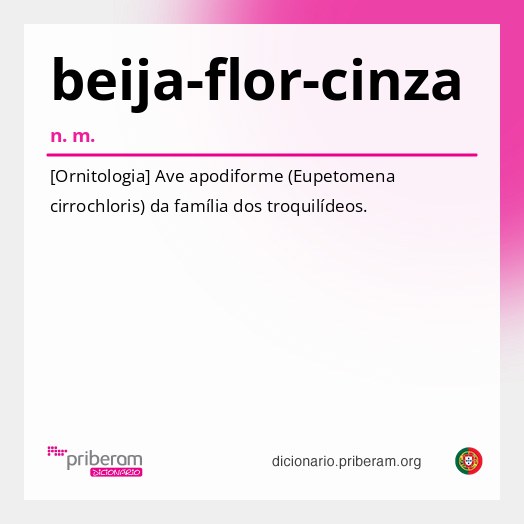 Significado de beija-flor-cinza