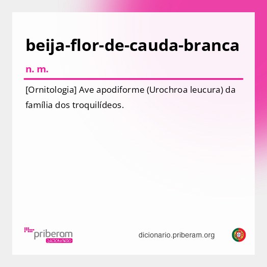 Significado de beija-flor-de-cauda-branca