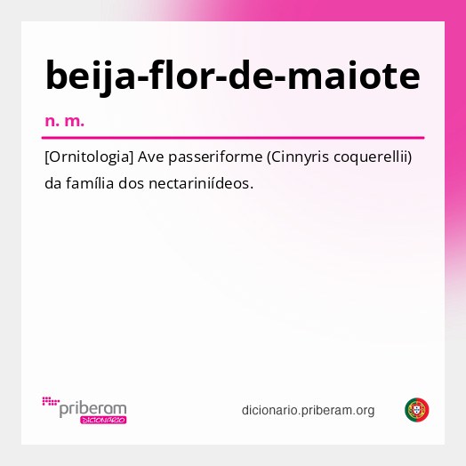 Significado de beija-flor-de-maiote