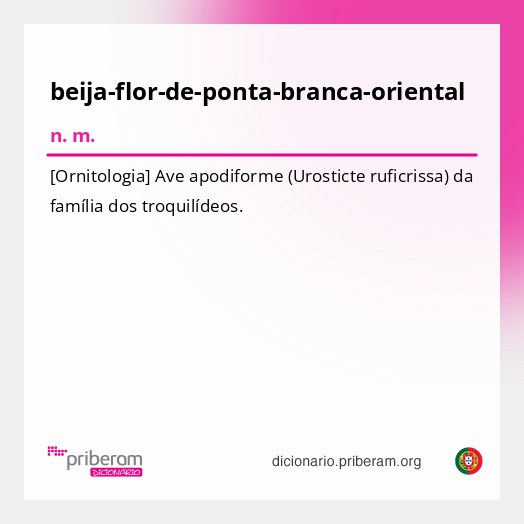 Significado de beija-flor-de-ponta-branca-oriental