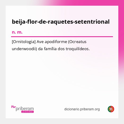Significado de beija-flor-de-raquetes-setentrional