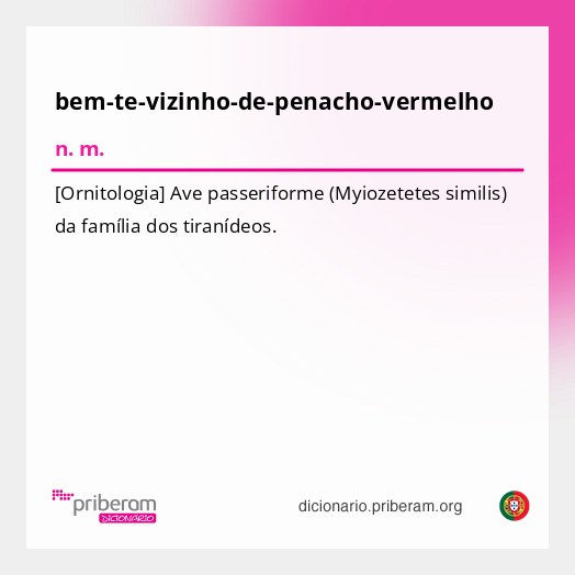 Significado de bem-te-vizinho-de-penacho-vermelho