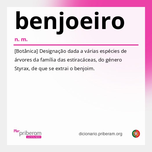 Significado de benjoeiro