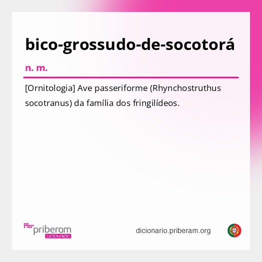 Significado de bico-grossudo-de-socotorá