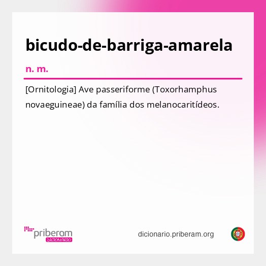 Significado de bicudo-de-barriga-amarela