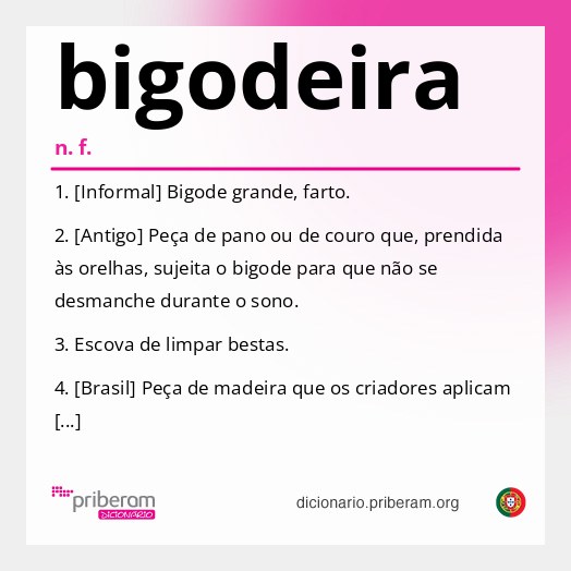 Significado de bigodeira