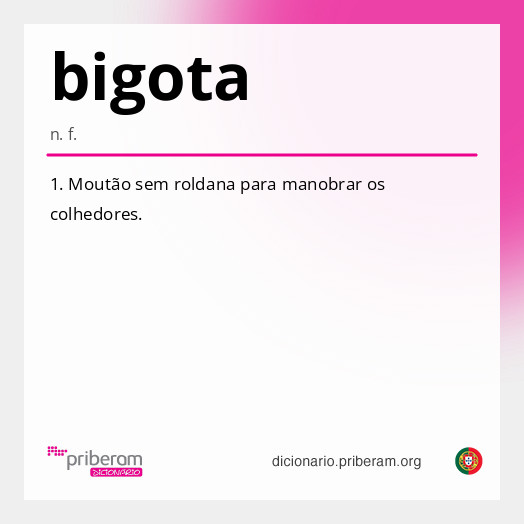 Significado de bigota