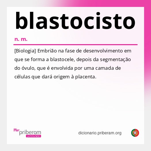 Significado de blastocisto