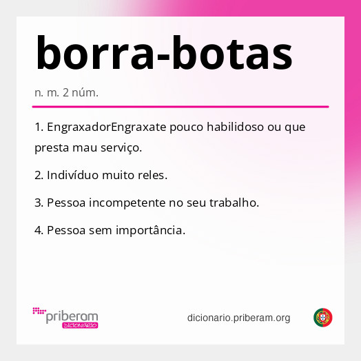 Significado de borra-botas