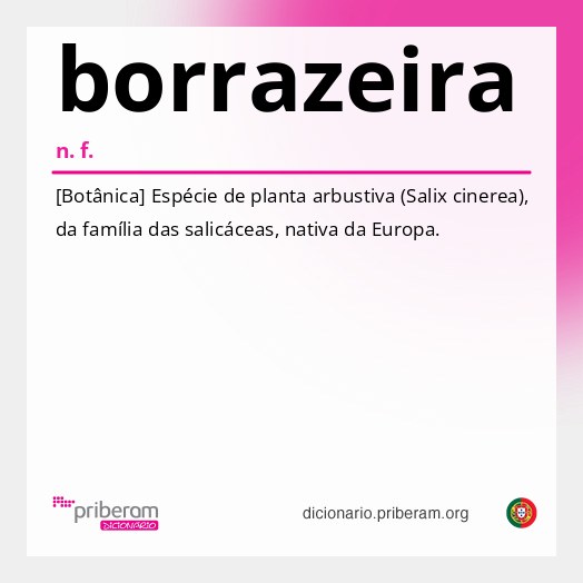Significado de borrazeira