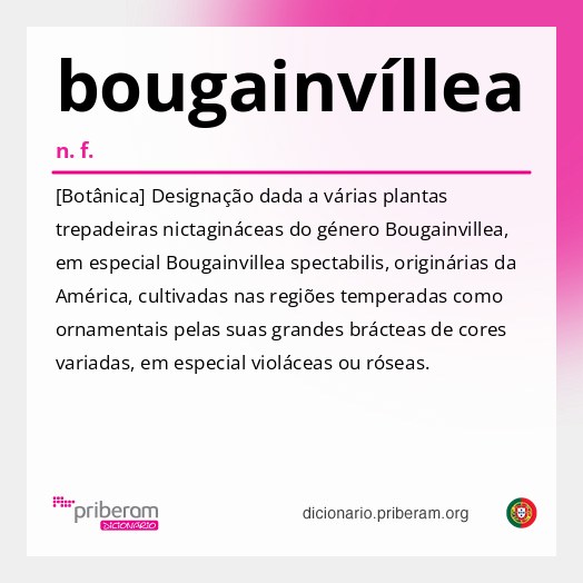 Significado de bougainvíllea