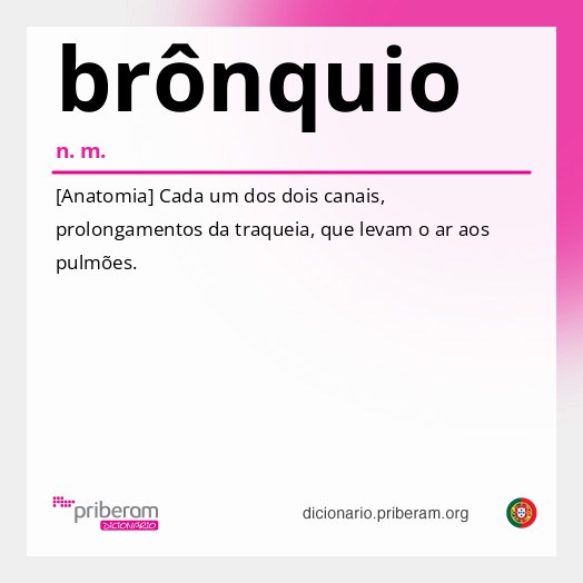 Significado de brônquio