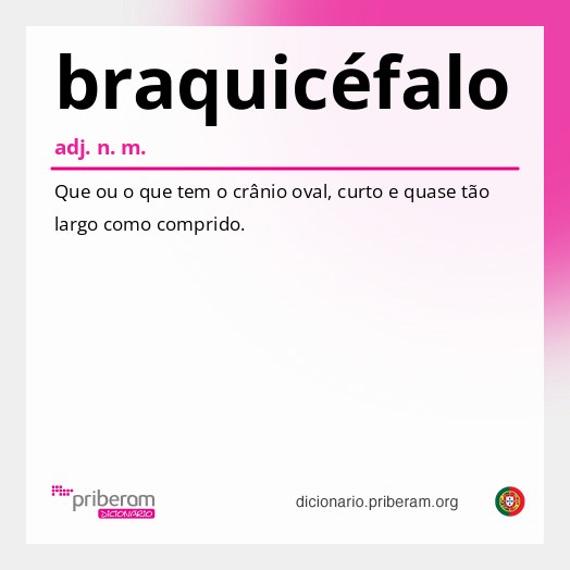 Significado de braquicéfalo