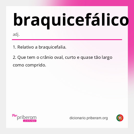 Significado de braquicefálico