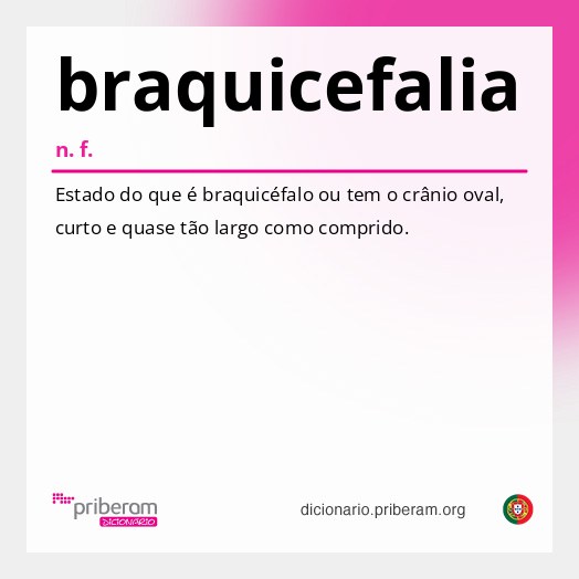 Significado de braquicefalia