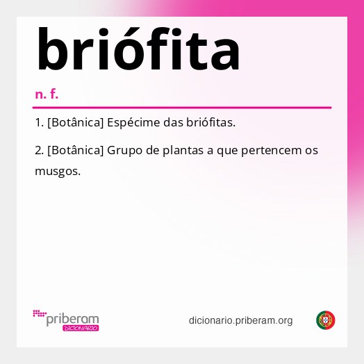Significado de briófita