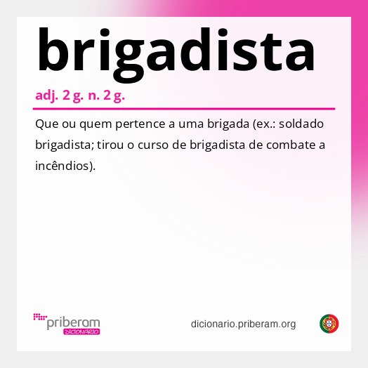 Significado de brigadista