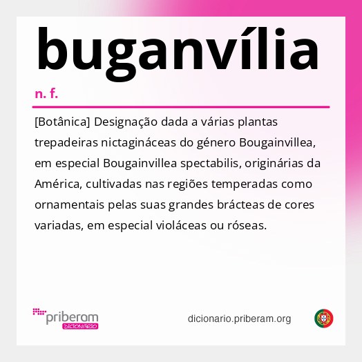 Significado de buganvília